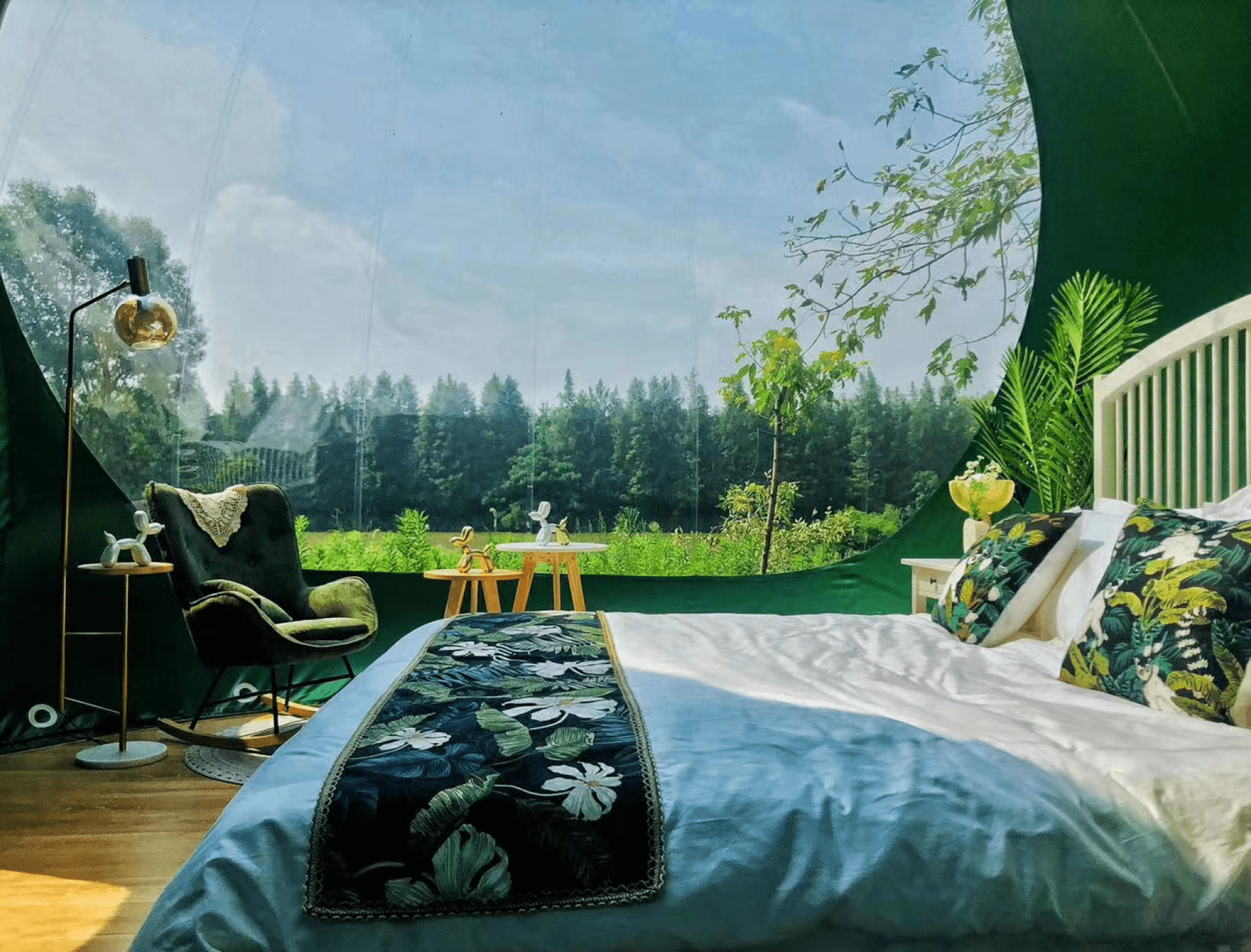 Zdjęcie namiotu bubble house